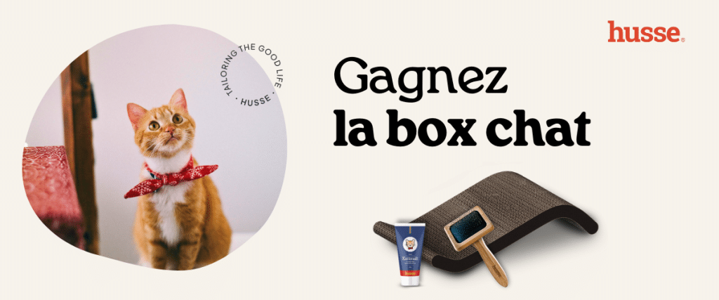 Concours : Gagnez une box pour chat Husse.