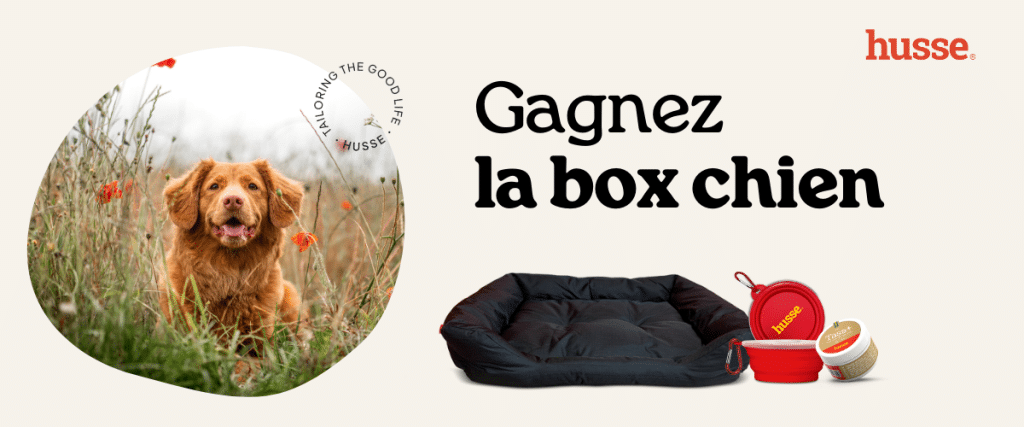 Concours : Gagnez une box pour chien Husse.