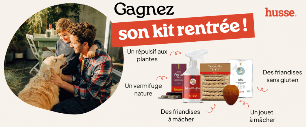 Kit de rentrée Husse pour chiens.